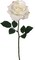 20-Inch Premium Open Rose Stems - Set of 24 with Lifelike Silk Leaves, Realistic Artificial Roses for Bouquets, Floral Arrangements, Wedding & Event Decor, Home & Office Accents, Floral Home by Artificial Flowers